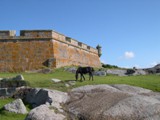 F. Santa Teresa